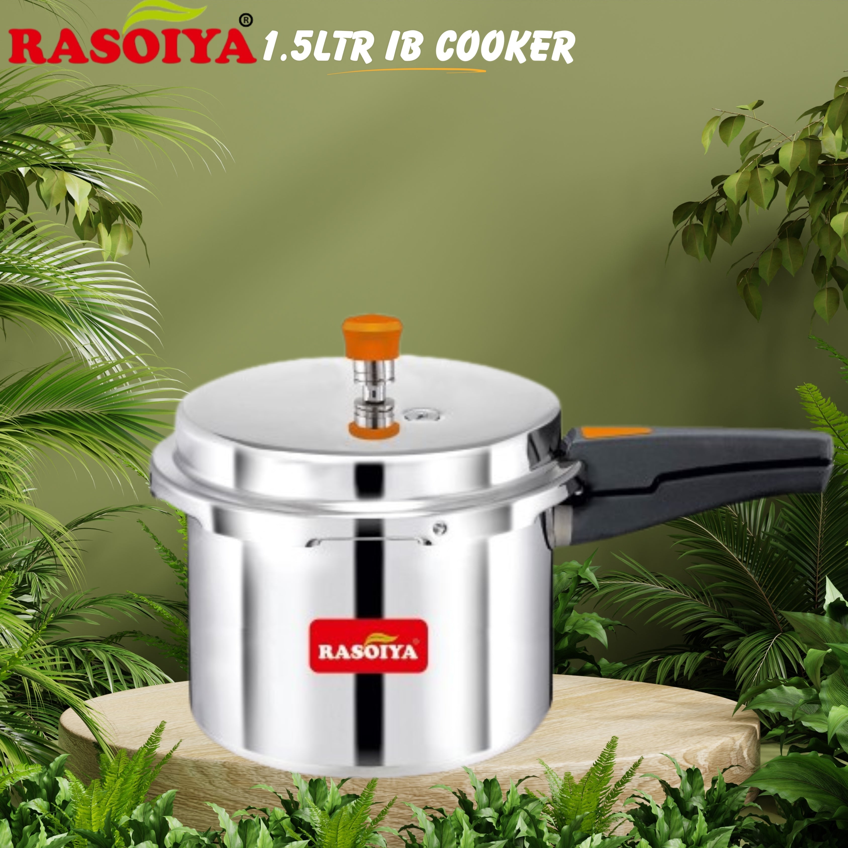 RASOIYA INDUCTION BASE COOKER